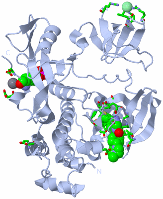 Image Biol. Unit 1 - sites