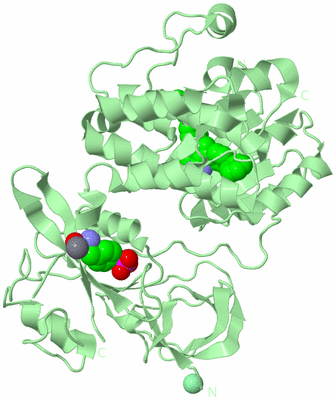 Image Biological Unit 2