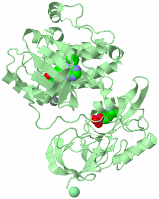 Image Biological Unit 2