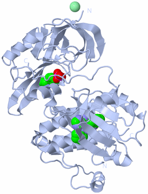 Image Biological Unit 1