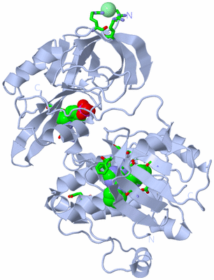 Image Biol. Unit 1 - sites