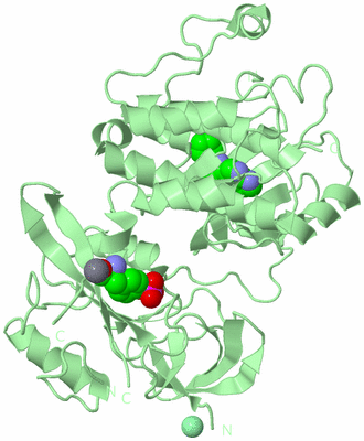 Image Biological Unit 2