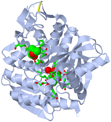 Image Biol. Unit 1 - sites