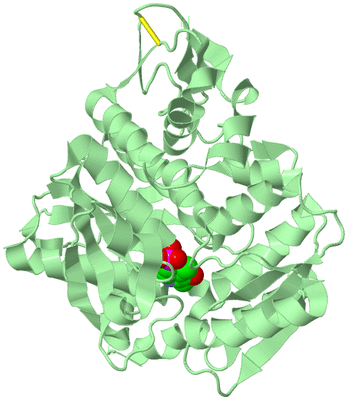 Image Biological Unit 2