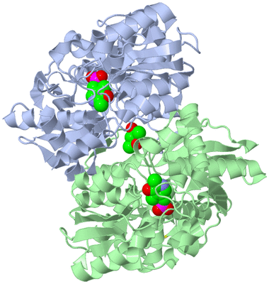 Image Biological Unit 3