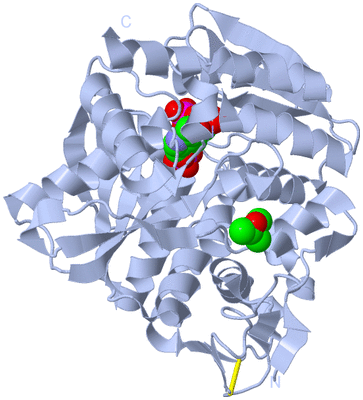 Image Biological Unit 1