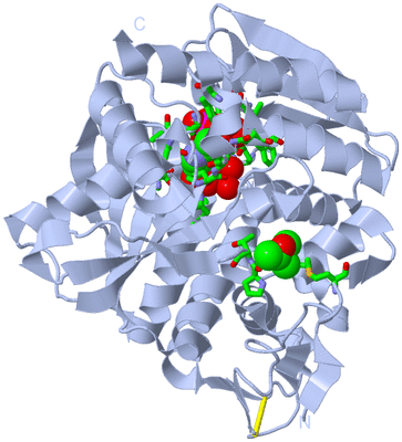 Image Biol. Unit 1 - sites