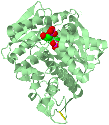 Image Biological Unit 2