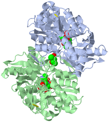 Image Biological Unit 3