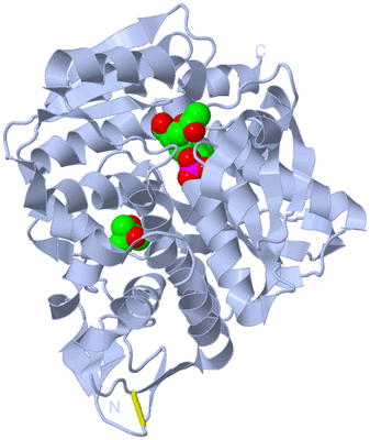 Image Biological Unit 1