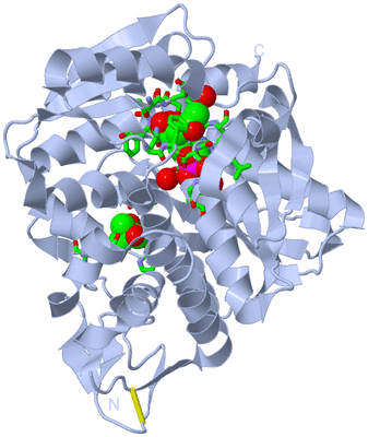 Image Biol. Unit 1 - sites