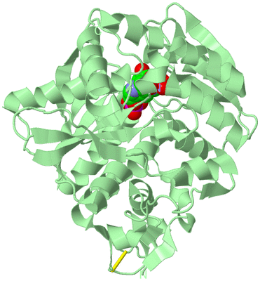 Image Biological Unit 2