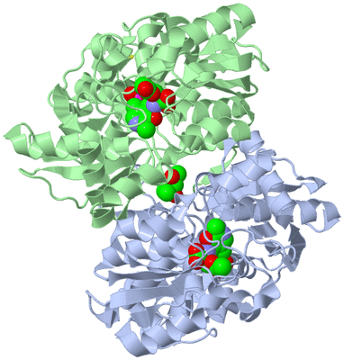 Image Biological Unit 3