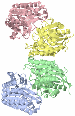 Image Asym./Biol. Unit