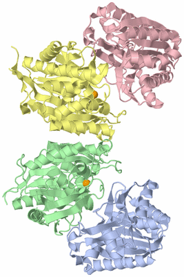 Image Asym./Biol. Unit