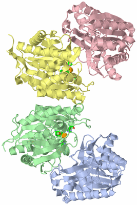 Image Asym./Biol. Unit - sites