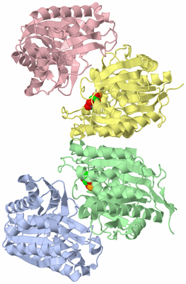 Image Asym./Biol. Unit