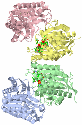 Image Asym./Biol. Unit - sites