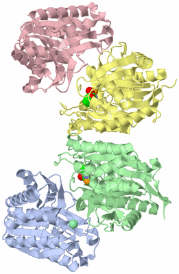 Image Asym./Biol. Unit