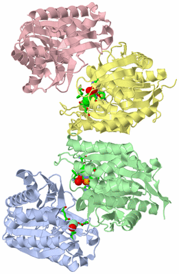 Image Asym./Biol. Unit - sites