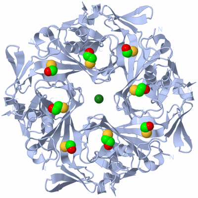 Image Biological Unit 1