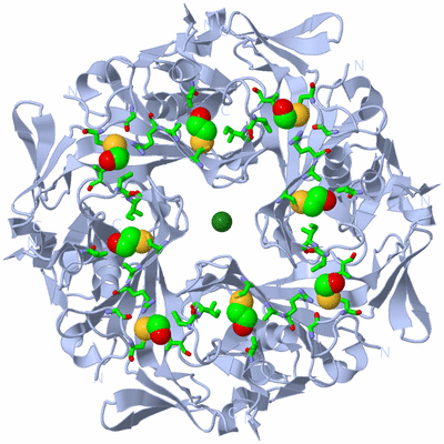 Image Biol. Unit 1 - sites