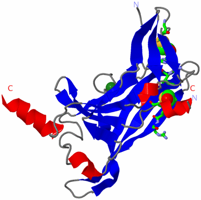 Image Asym. Unit - sites