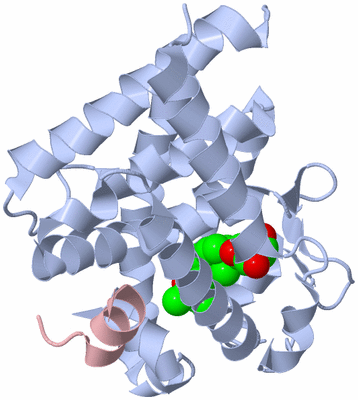 Image Biological Unit 1