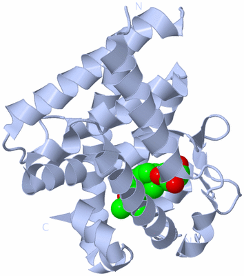 Image Biological Unit 2