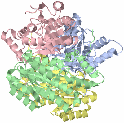 Image Asym./Biol. Unit