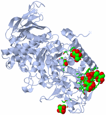 Image Biol. Unit 1 - sites