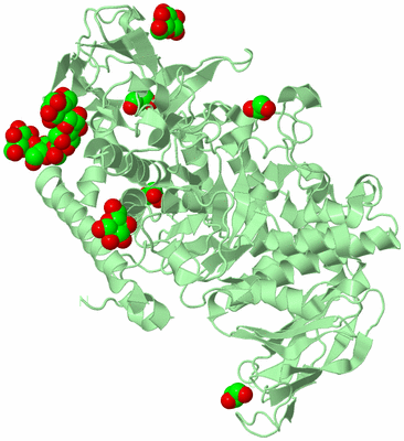 Image Biological Unit 2