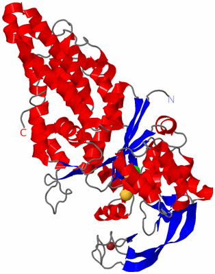 Image Asym./Biol. Unit