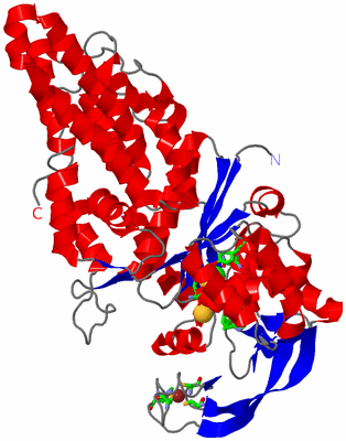 Image Asym./Biol. Unit - sites