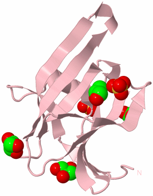 Image Biological Unit 3