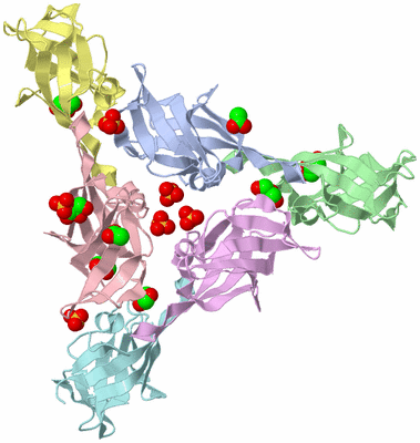 Image Biological Unit 7