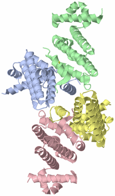 Image Asymmetric Unit
