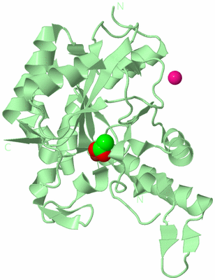 Image Biological Unit 2