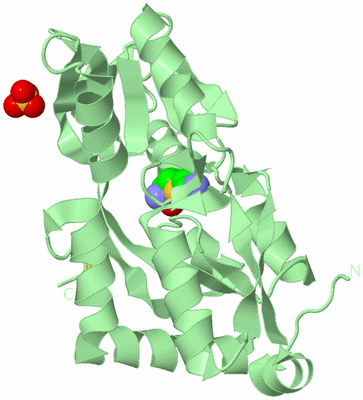 Image Biological Unit 2