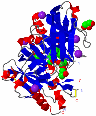 Image Asym./Biol. Unit