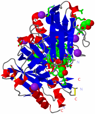 Image Asym./Biol. Unit - sites