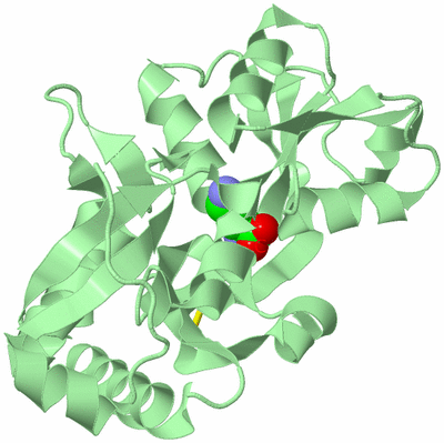 Image Biological Unit 2