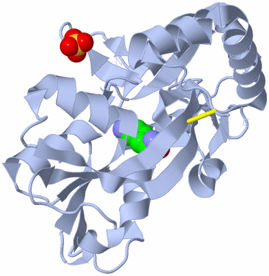 Image Biological Unit 1