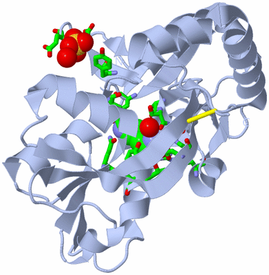 Image Biol. Unit 1 - sites