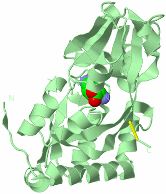 Image Biological Unit 2