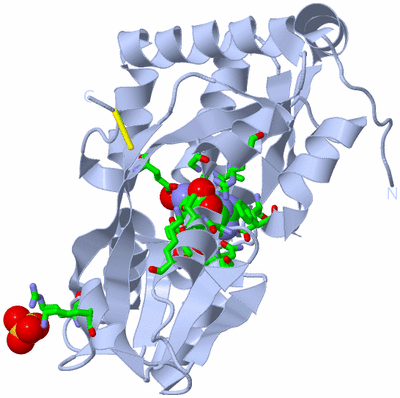 Image Biol. Unit 1 - sites