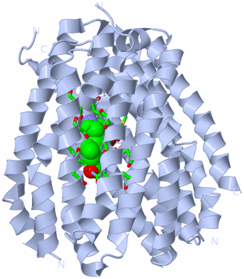 Image Biol. Unit 1 - sites