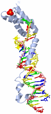 Image Biological Unit 1