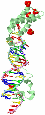 Image Biological Unit 2