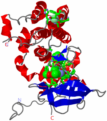 Image Asym./Biol. Unit - sites